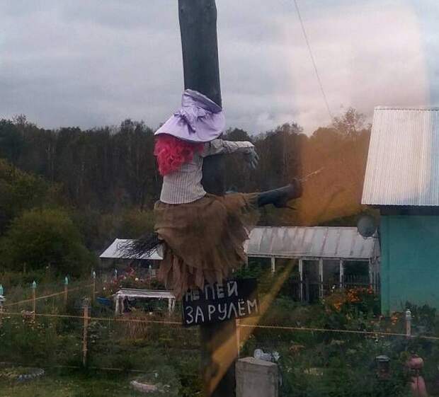 Позитивные и смешные картинки для настроения (11 фото) Позитивные и смешные картинки для настроения (11 фото)