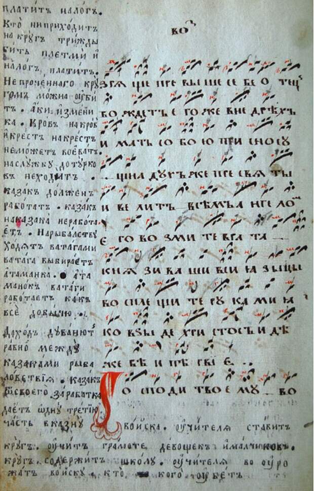 История казачества История казачества