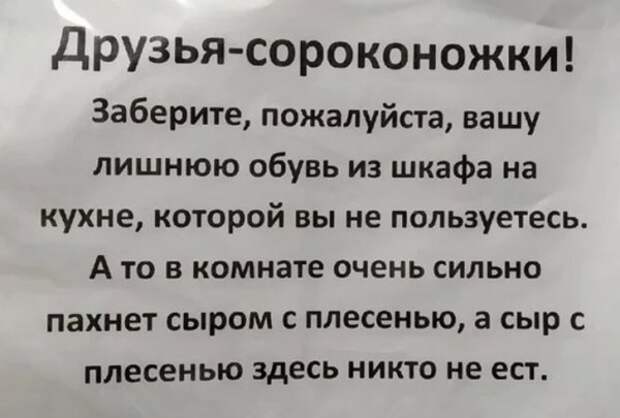 Вопль души на рабочей кухне