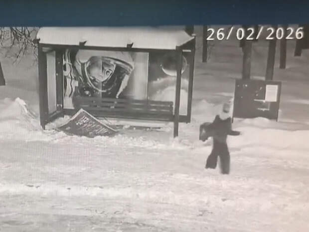 В Гагарине полиция установила личность малолетних вандалов