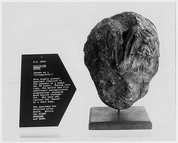 mummies12 Интересные факты о самых необычных мумиях в истории
