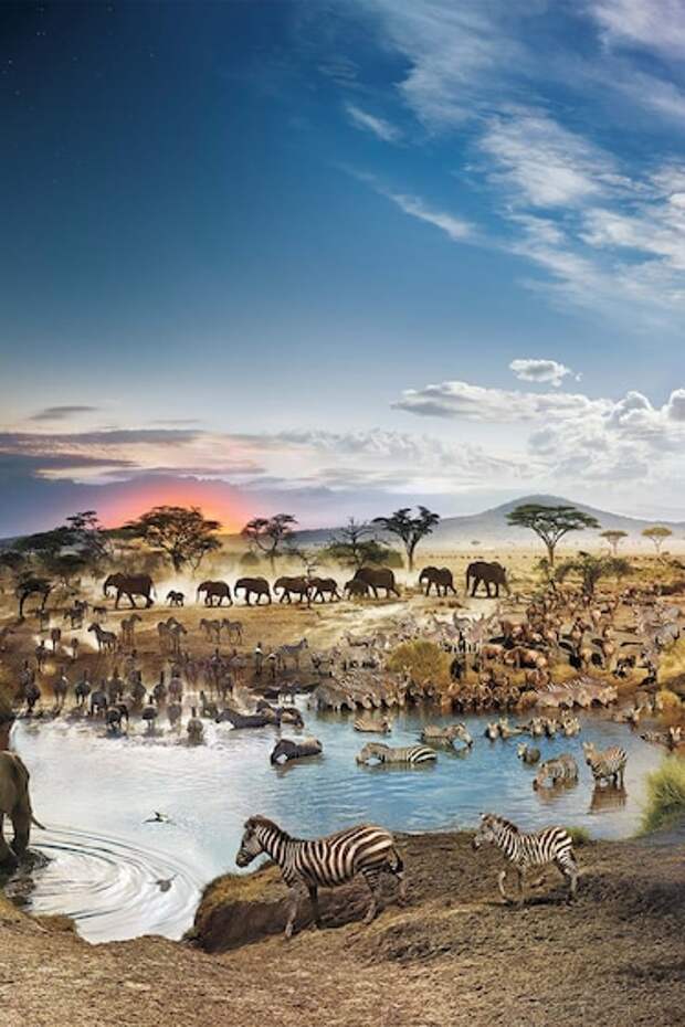 15 знаковых изображений из архива National Geographic