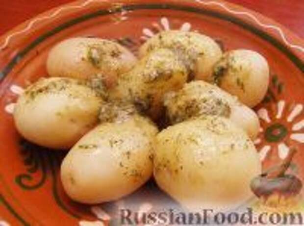 Фото к рецепту: Молодая картошка с чесночно-ореховой заправкой