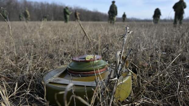 "Выжать максимум". Россия внедряет неожиданные новшества в зоне СВО