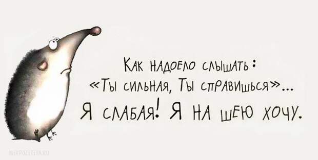 Самая веселая подборка прикольных картинок Самая веселая подборка прикольных картинок