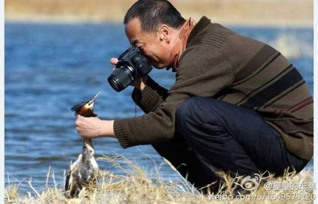 Фотоподборка четверга (104 фото)
