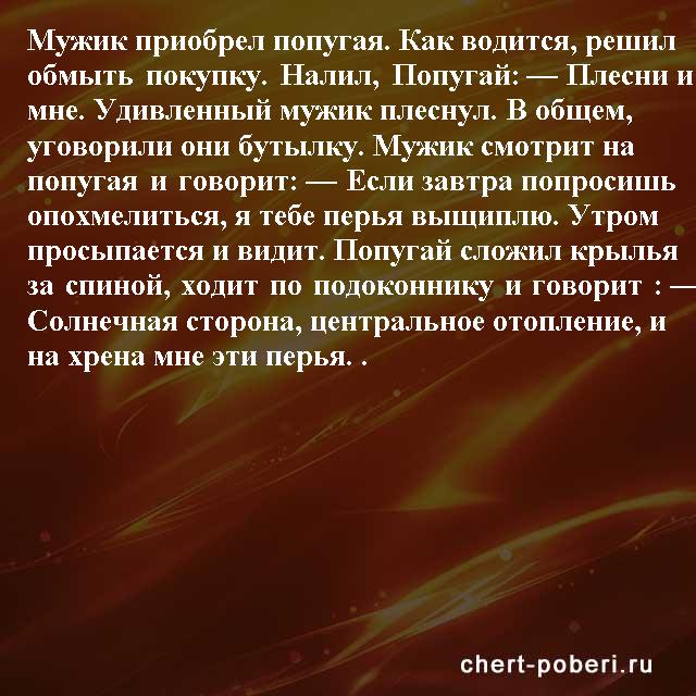 Самые смешные анекдоты ежедневная подборка chert-poberi-anekdoty-chert-poberi-anekdoty-05540603092020-15 картинка chert-poberi-anekdoty-05540603092020-15