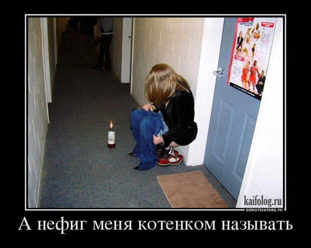 Демотиваторы - 167 (50 фото)