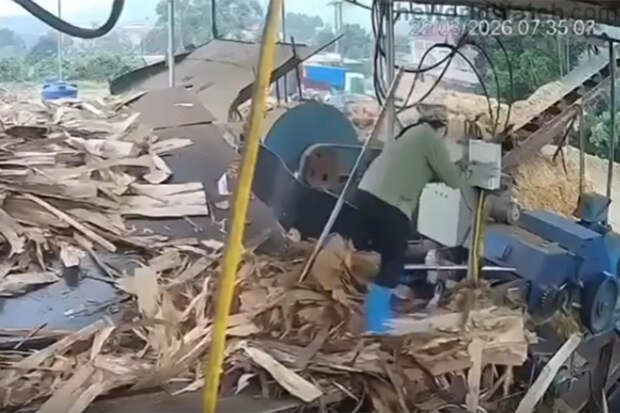 Женщину затянуло в измельчитель древесины