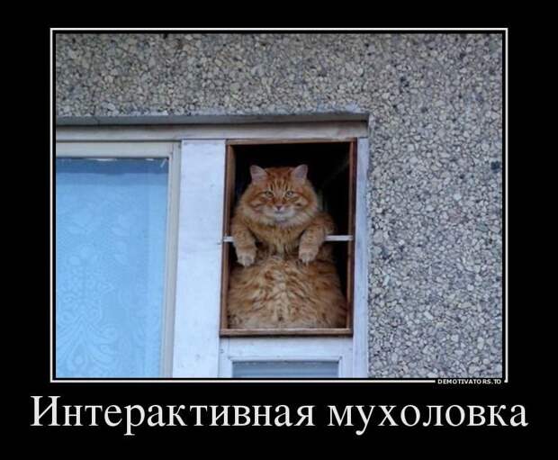 Прикольные демотиваторы