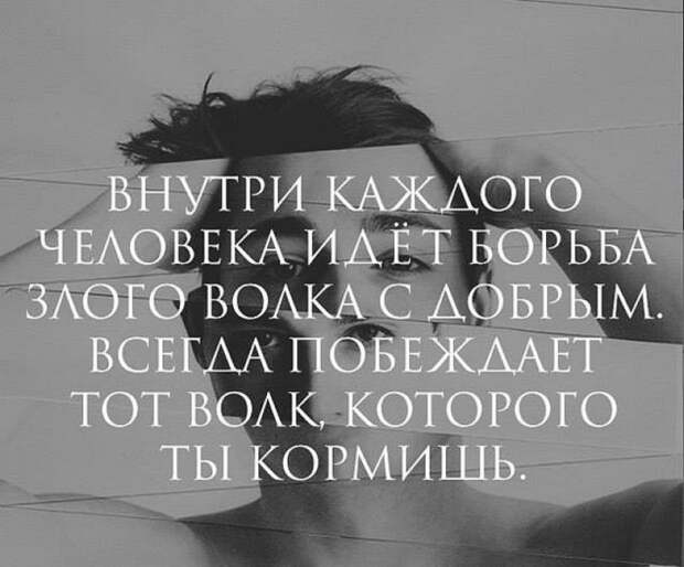 25 невероятно красивых и мудрых цитат