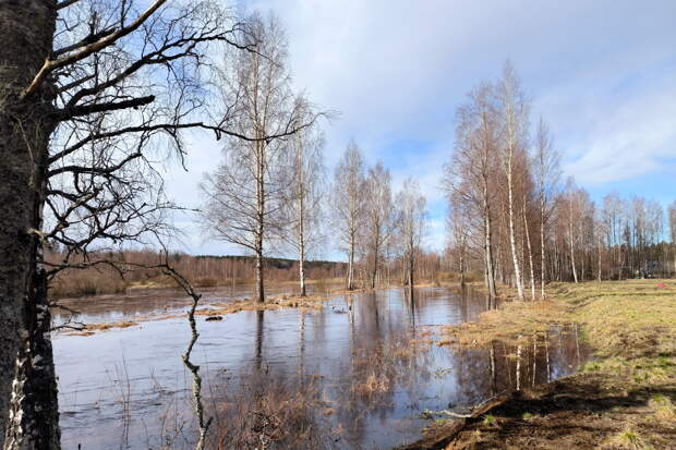 В Нижегородской области два участка автодороги освободились от воды