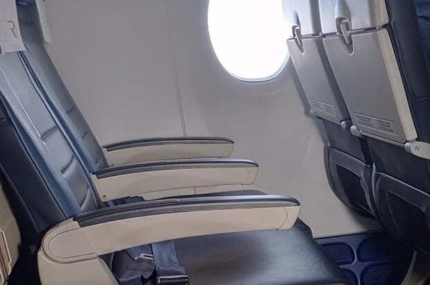 PYOK: пьяный «пассажир из ада» покусал стюардессу и избежал тюрьмы