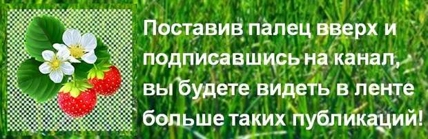 Зашла в магазин для садоводов и не ушла без покупок, хоть цены и кусаются