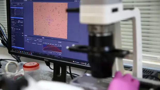 Вирусолог Нетёсов опроверг утверждения о «безвредности» коронавируса