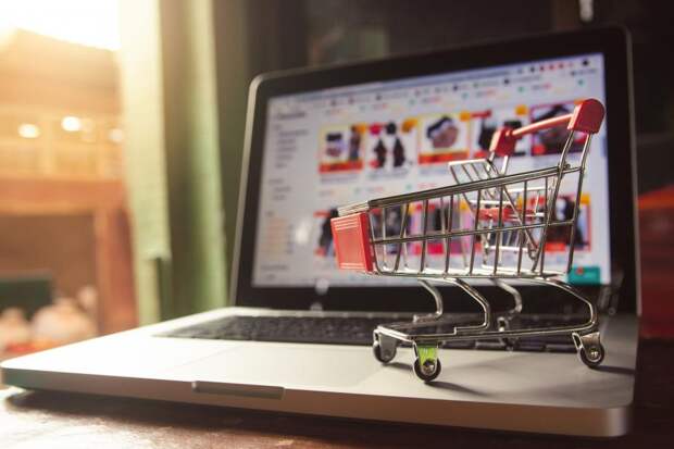 Эксперт: онлайн-обучение может привести к снижению профессиональных навыков будущих специалистов