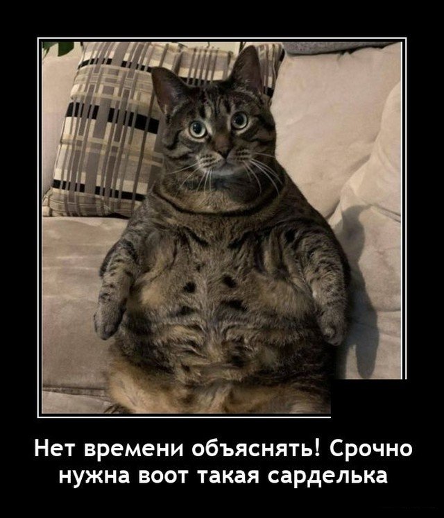 Демотиватор про сардельку