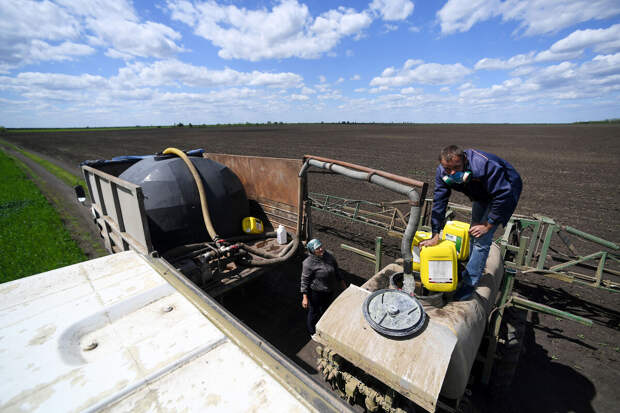 Лут: около 97% посевов озимых в РФ находятся в хорошем состоянии