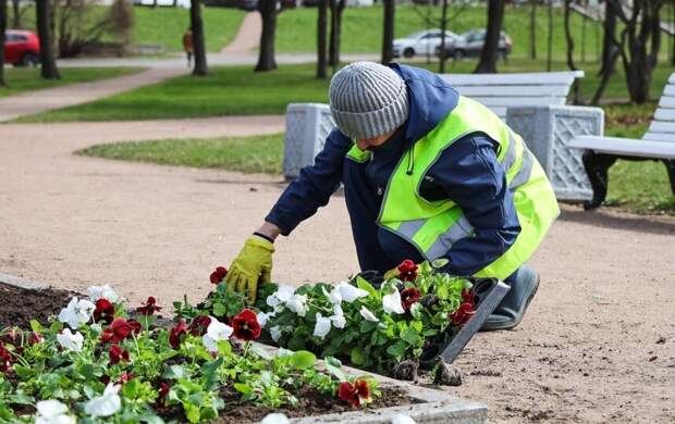 Петербург подвёл итоги весеннего месячника по благоустройству