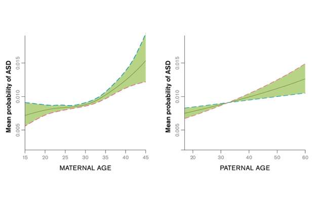 Child&#39;s Autism Risk Accelerates with Mother&#39;s Age Over 30