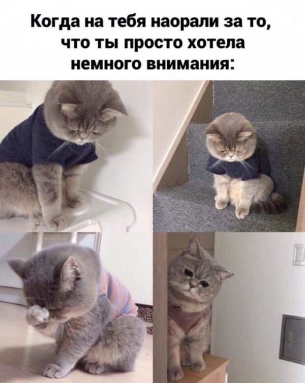 Немного картинок для настроения Немного картинок для настроения