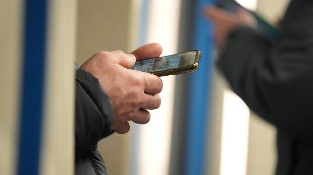 Замдиректора частной школы в Петербурге задержали за показ порно ученикам