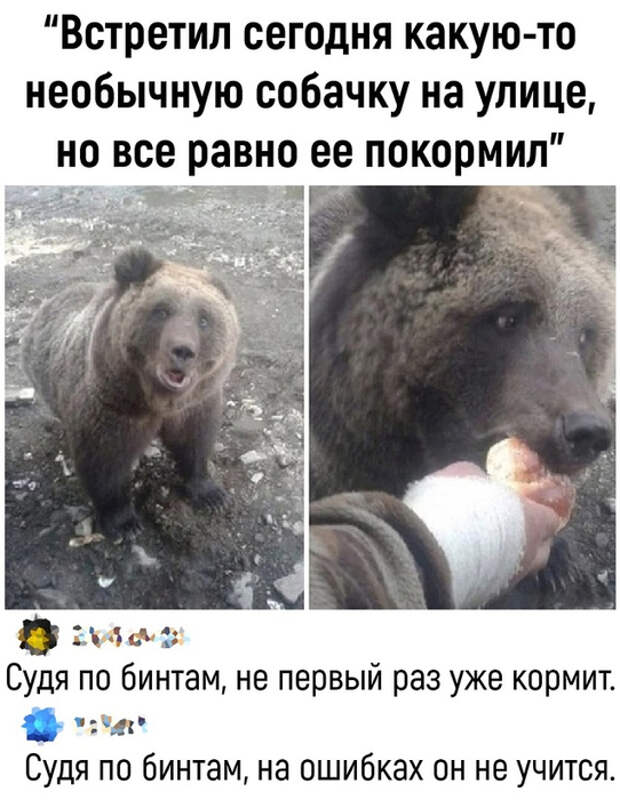 мед (542x700, 269Kb)