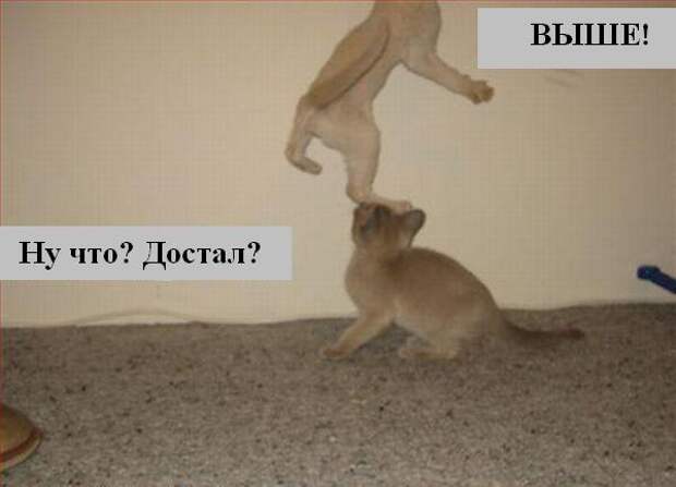 Мысли :) (50мыслей)