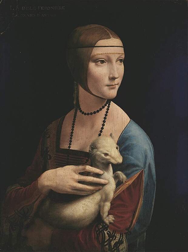 Леонардо да Винчи «Дама с горностаем» 1489–1490
