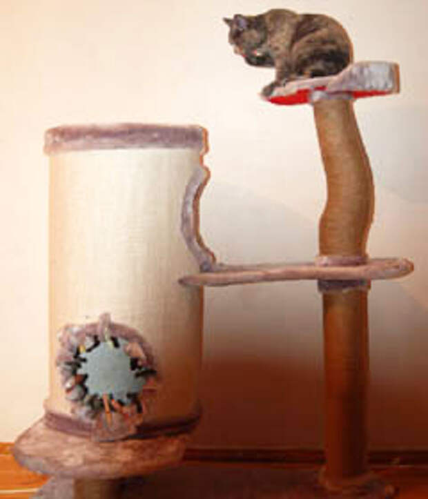 Домик-дупло для кошки со столбом из сука дерева