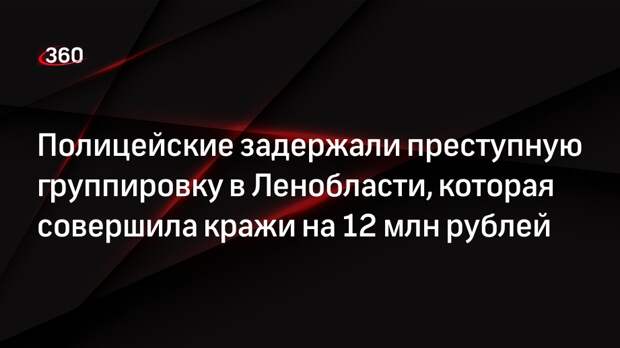 Полицейские задержали преступную группировку в Ленобласти, которая совершила кражи на 12 млн рублей