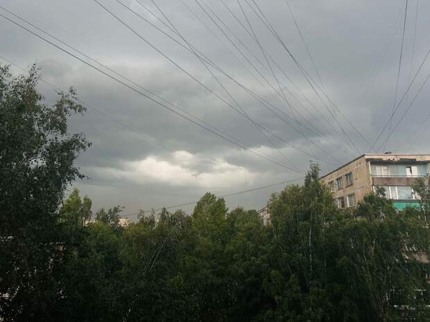 Колесов предупредил жителей Петербурга об очередных ливнях, грозах и штормовом ветре на неделе