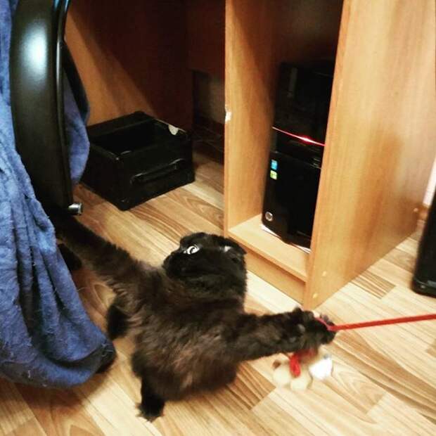 Когда не можешь выбрать