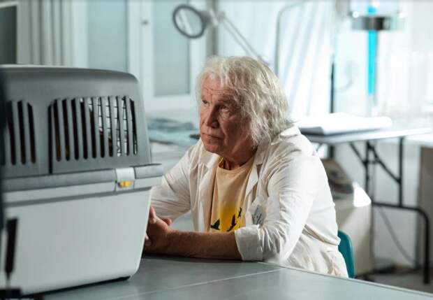 Вышел новый трейлер комедии «Доктор Гаф» с Сергеем Гармашом