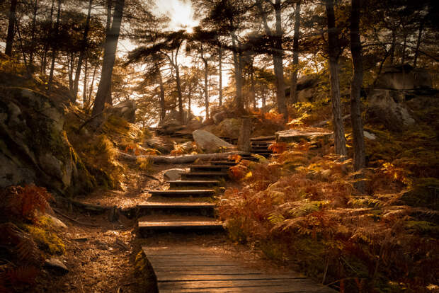 Go west by Jérôme Dupuy on 500px.com