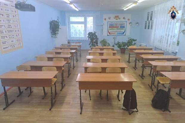 На школьницу, ранившую сверстницу в Кодинске, могли повлиять видеоигры