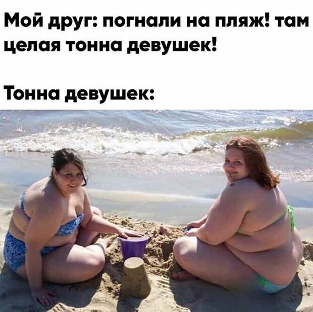 Смешные и познавательные картинки