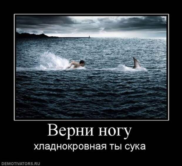 Очередная порция демотиваторов новых и смешных!
