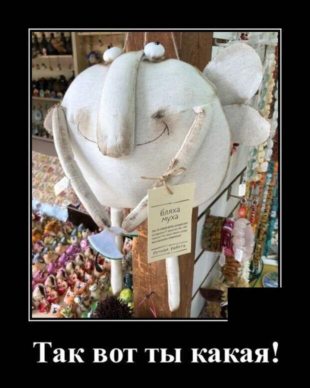 demotivatory-demotivator-smeshnye-demotivatory-demotivator-so-smyslom