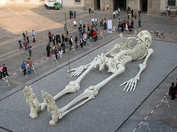 Учёные скрывают скелеты гигантов, во славу науки (18+)