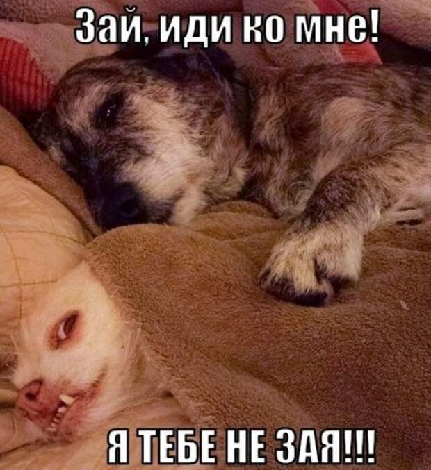 Фотоприколы вместо работы