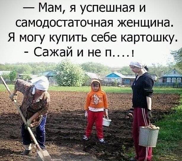 Картошечка Картошечка
