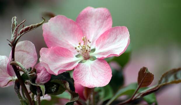 4883260_IMG_7362 (700x408, 183Kb)