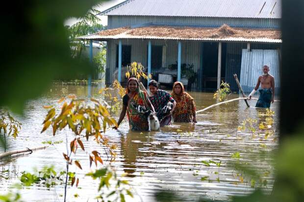 В Бангладеш и Индии наводнения унесли жизни почти 70 человек: Новости ➕1, 20.06.2022