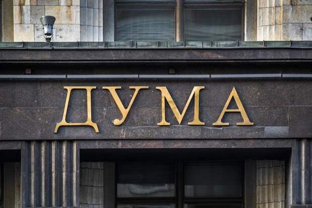 В Госдуме оценили позицию главы МИД Австрии относительно "Северного потока – 2"