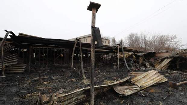 Губернатор Воробьев прокомментировал пожар в ТЦ в Химках