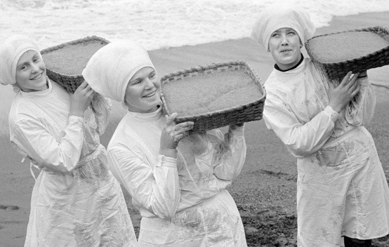 Икра Камчатки, 1977 г. история, факты, фото
