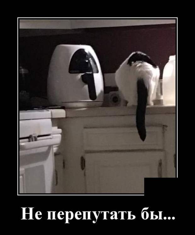 Демотиваторы (20 фото)