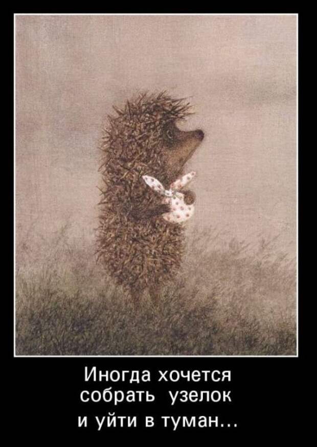 Демотиваторы (30 фото)