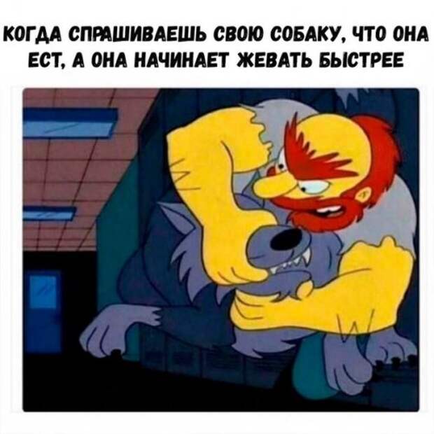 Новые фотомемы (24 шт)
